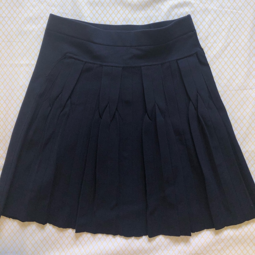 APC SKIRT